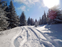 Snowmobiling