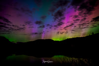 Northern Lights